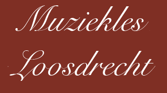 Muziekles Loosdrecht   muziek instrument verzekeren 