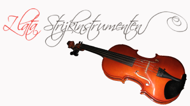 Zlata Strijkinstrumenten   muziek instrument verzekeren 